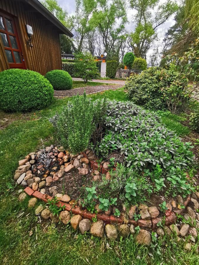 Ferienhaus In Absoluter Seenaehe Fuer 4 Personen Arendsee  Εξωτερικό φωτογραφία